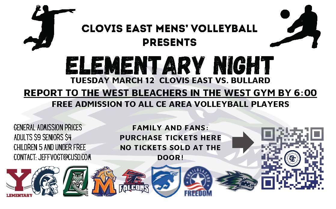 Volleyball Elementary Night Flyer