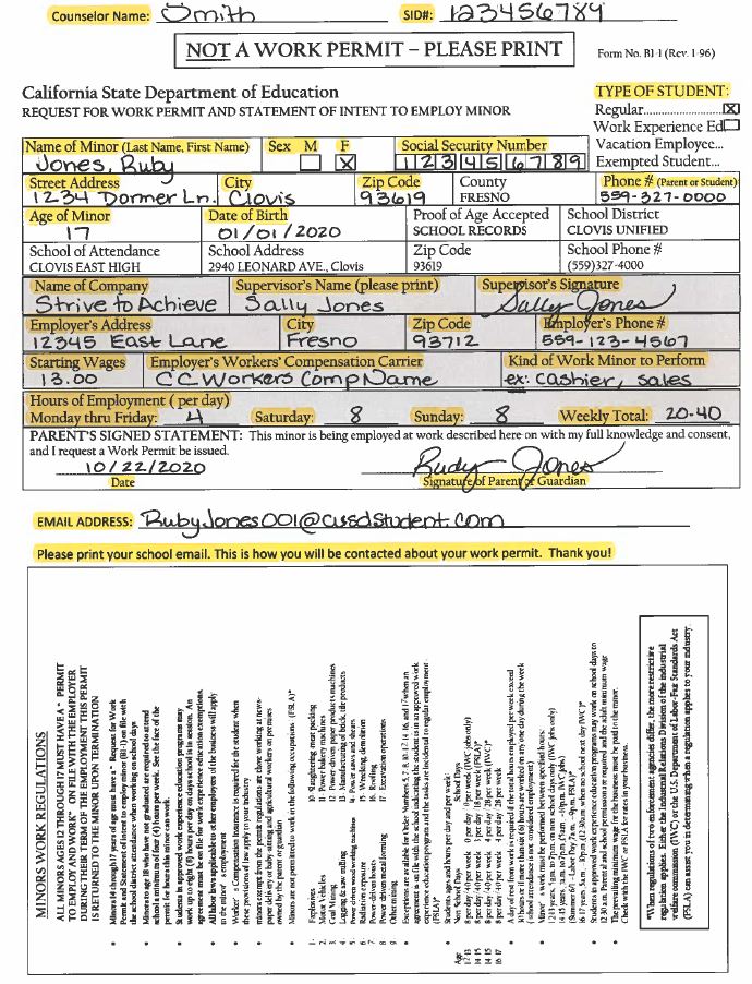 Work Permit Application