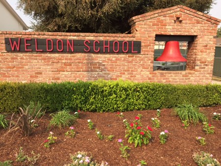 weldon school 