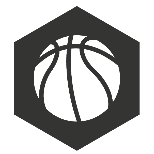 Basketball Icon